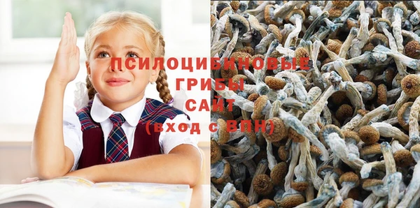а пвп мука Алексин