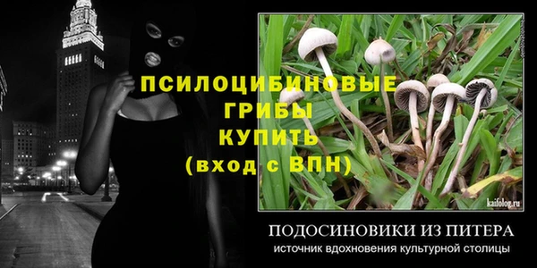 скорость Алзамай