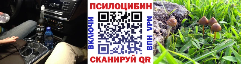 купить закладку Ардатов ОМГ ОМГ tor Галлюциногенные грибы Cubensis